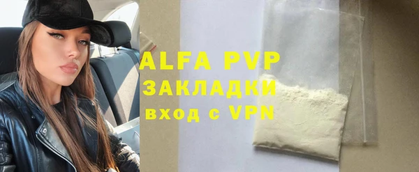 ПСИЛОЦИБИНОВЫЕ ГРИБЫ Михайлов