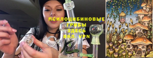mdpv Нея