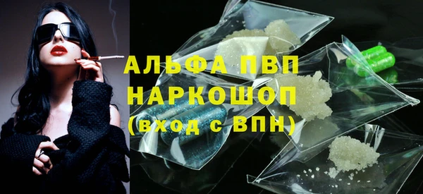 спайс Кизел