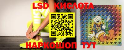 ECSTASY Донской
