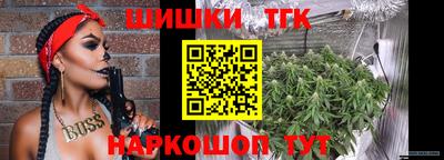 индика Абакан