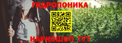 кокс Дубна