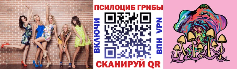Галлюциногенные грибы мухоморы  блэк спрут   Курчалой 