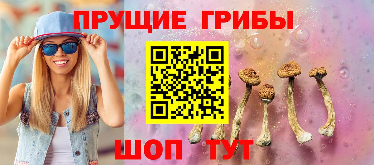 Курчалой  Галлюциногенные грибы мухоморы  Вход с VPN 