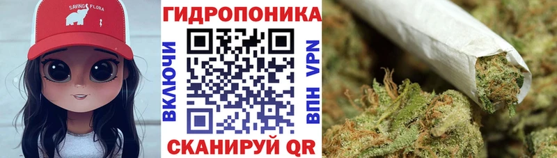 Каннабис семена  нарко площадка состав  Курчалой 